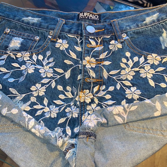 Buffalo 🦬 David Bitton - Picture 1 of 11